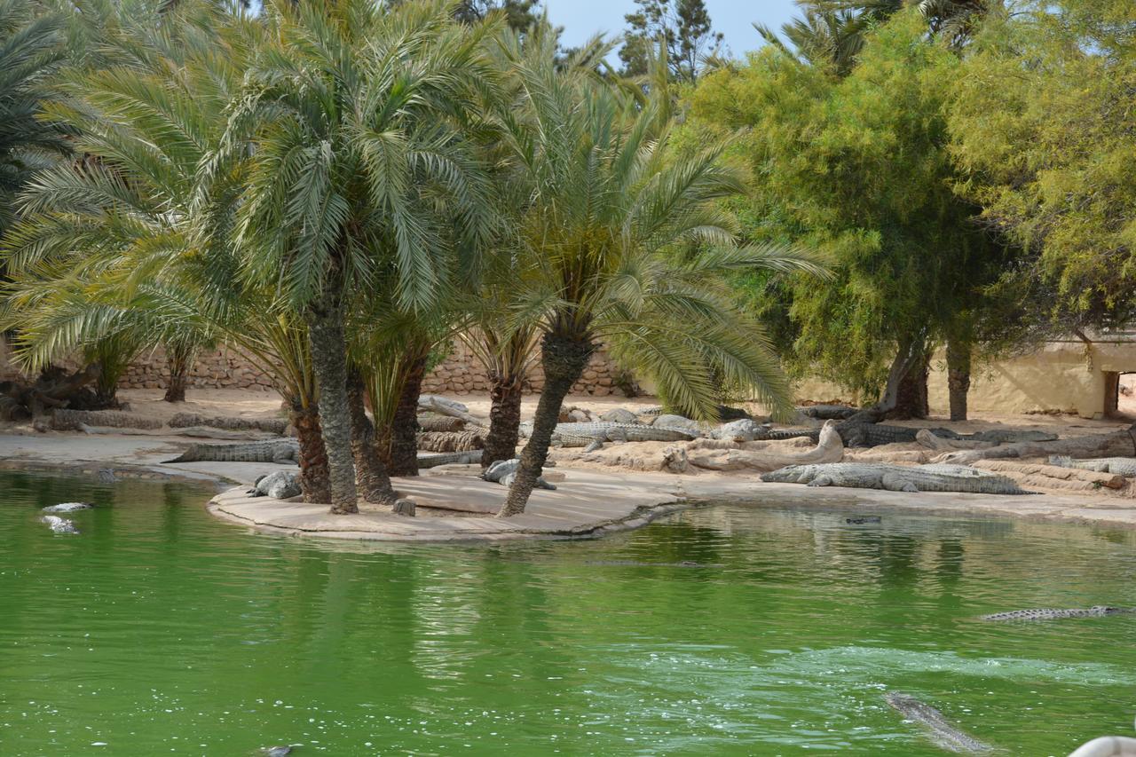 Menzel Churasco Djerba Aghir Ngoại thất bức ảnh